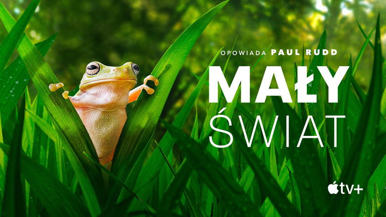 Gallery image from 1YwMRSTXq3GhL3EdGij3RzBKYLH.jpg