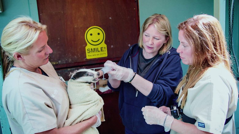 Still image for Joanna Page's Wild Life season 1 episode 1: Episode 1