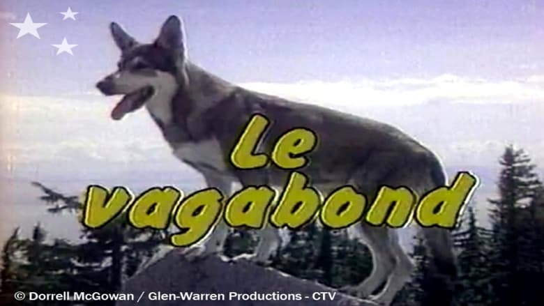 Voir Le Vagabond en streaming sur streamizseries.net | Series streaming vf