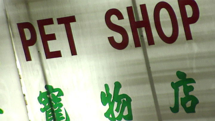 Still image for News Treasury season 1 episode 106: Episode 106