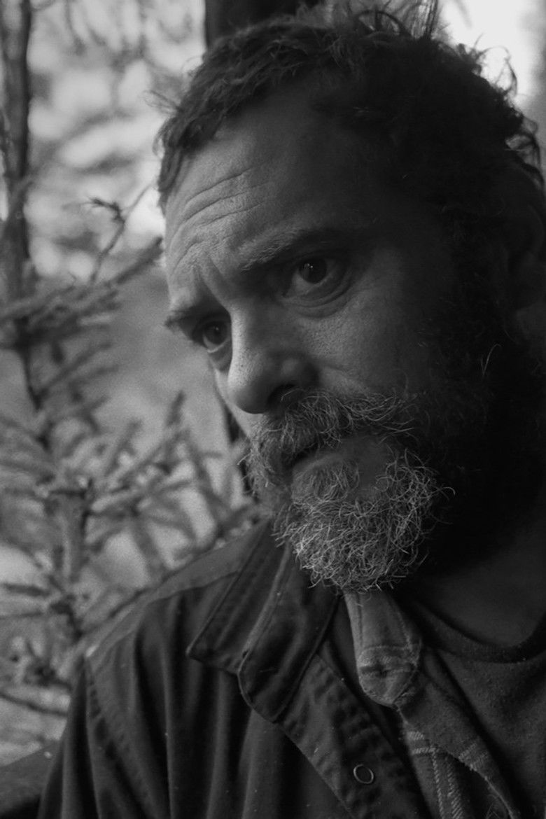 Imatge de Des chats sauvages