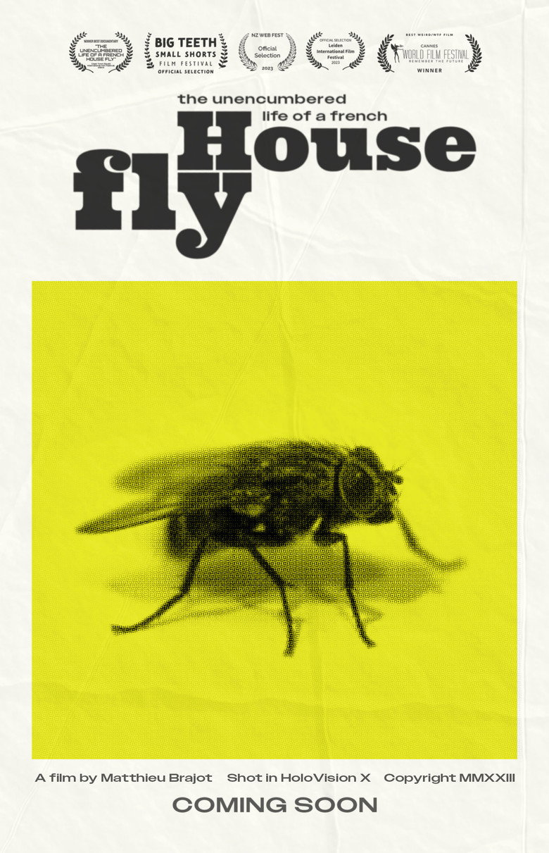 Imatge de The Unencumbered Life of a French House Fly