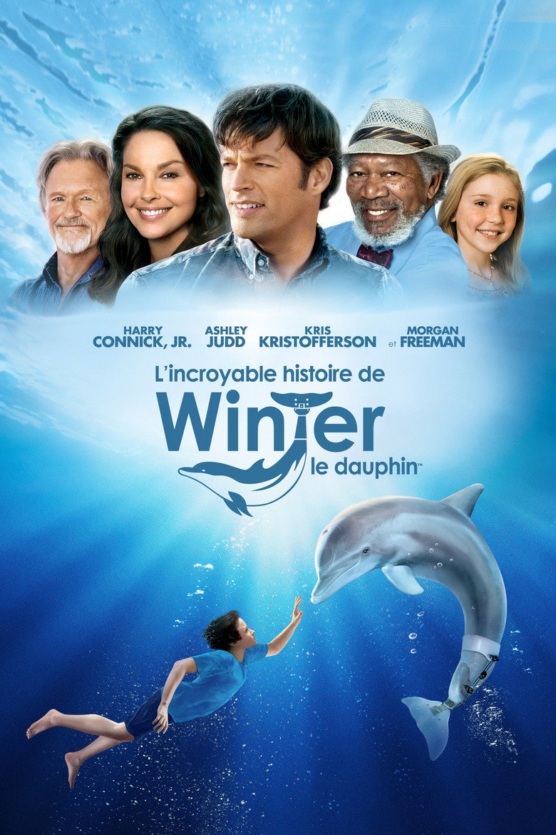 Affiche de L'INCROYABLE HISTOIRE DE WINTER LE DAUPHIN