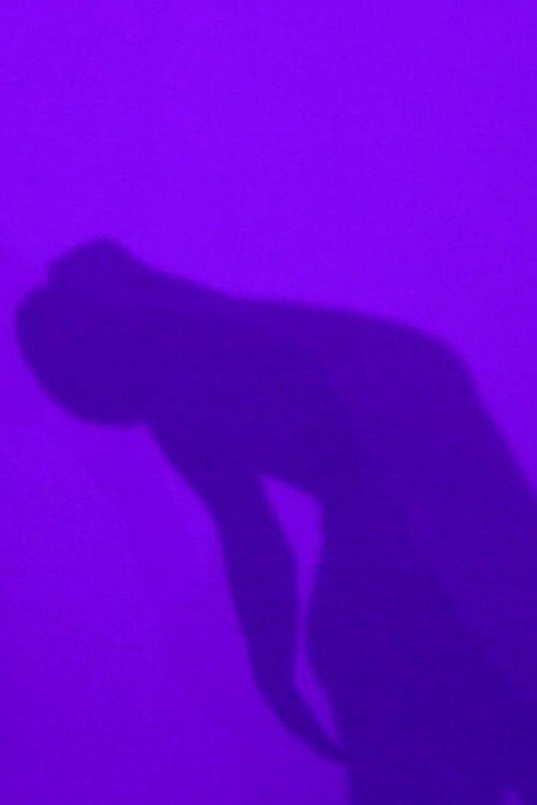 Imatge de Transitions II: Movement in Isolation