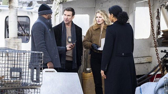 אף-בי-איי: המבוקשים ביותר עונה 5 פרק 1 לצפייה ישירה