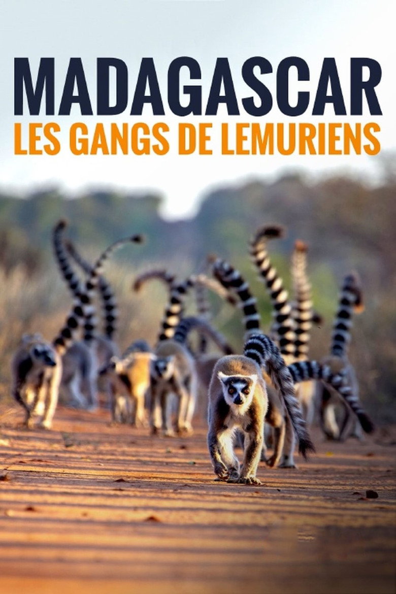 Affiche de MADAGASCAR : LES GANGS DE LÉMURIENS