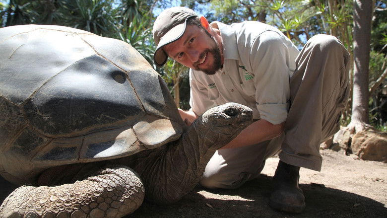 Still image for Secrets of the Zoo: Down Under season 1 episode 6: 103-Year-Old Tortoise Still image for Secrets of the Zoo: Down Under season 1 episode 6: 103-Year-Old Tortoise