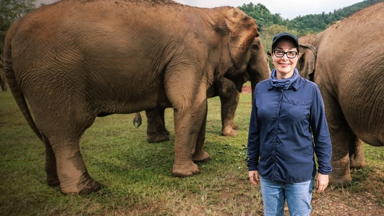Sue Perkins: Lost in Thailand backdrop