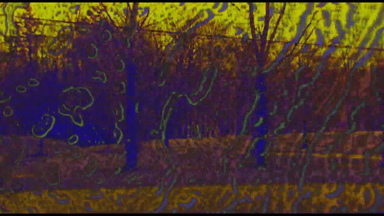 Gallery image from 1fKokN4TmLxzaXlwGmr1Z9NRBdN.jpg