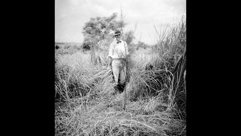 Gallery image from 1flOAoYnktDiEDdHazqBPfNIxIx.jpg