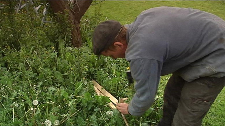 Still image for Frank & Kastaniegaarden season 1 episode 1: Episode 1