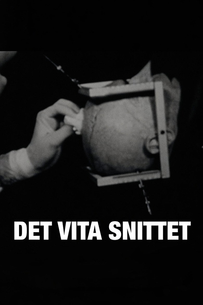 Det vita snittet