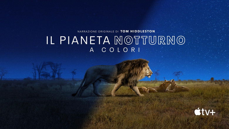 Gallery image from 1jt4c8qb6hExU8mf3qkqG3PjwPM.jpg