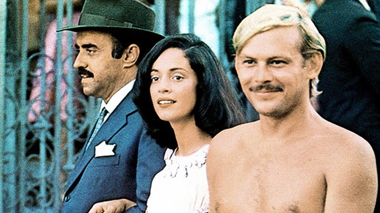 Dona Flor and Her Two Husbands Pelicula Completa