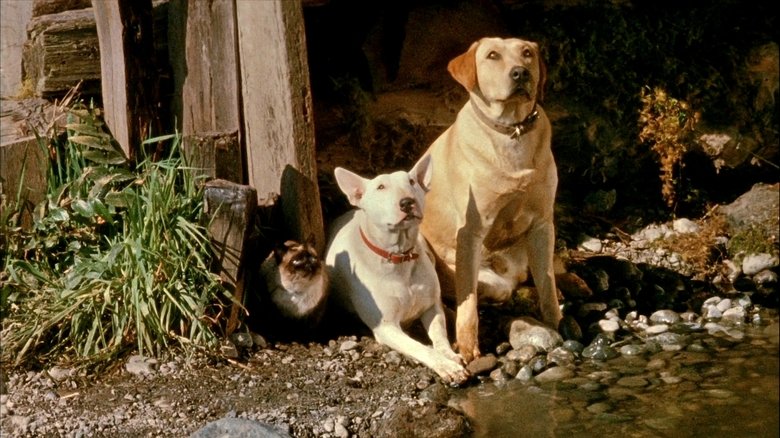 The Incredible Journey (1963)