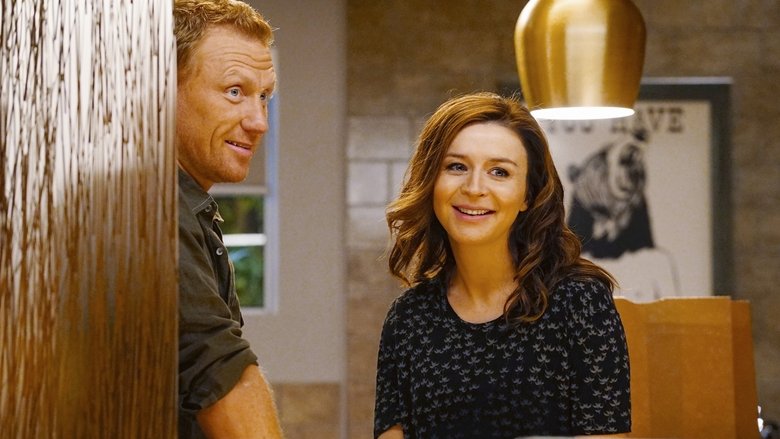Grey's Anatomy Season 13 Episode 2 Watch Online | AZseries