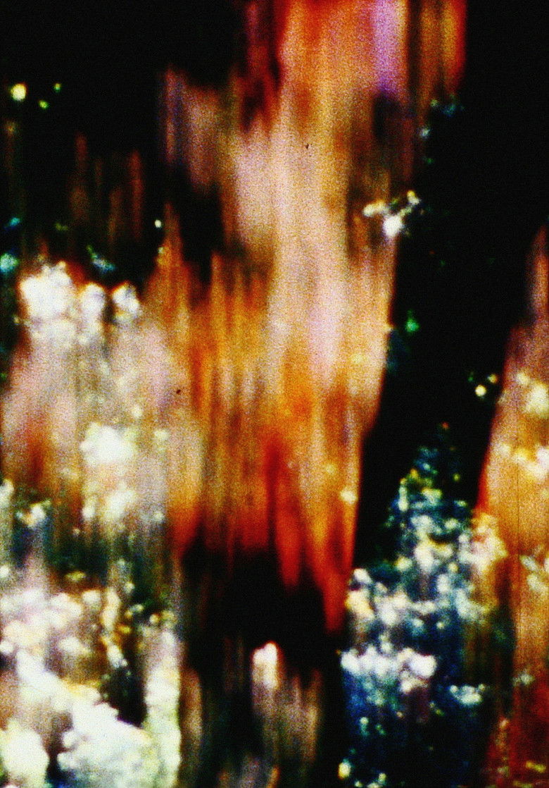 Imatge de Trees of Syntax, Leaves of Axis