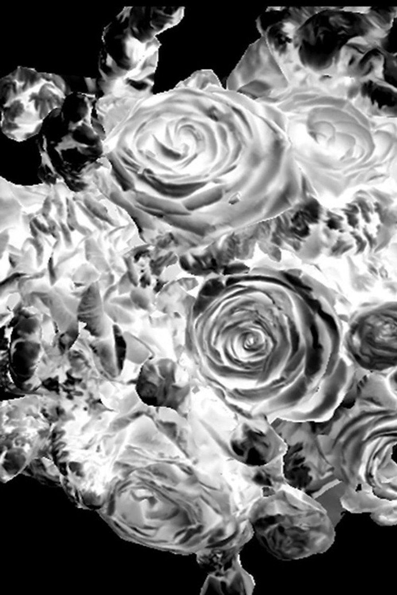 Chaotic Paradise background