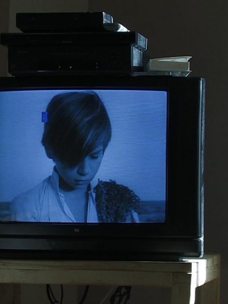 Portrait d'Alain Emery: l'enfant qui ne savait pas sourire (2008)