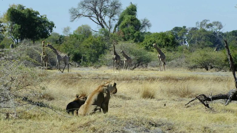 Still from Savage Kingdom - Season 4 Episode 2
