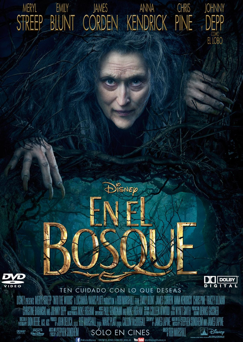 Póster la Película