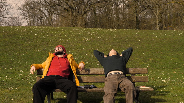 Imatge de Leucosélidophilie