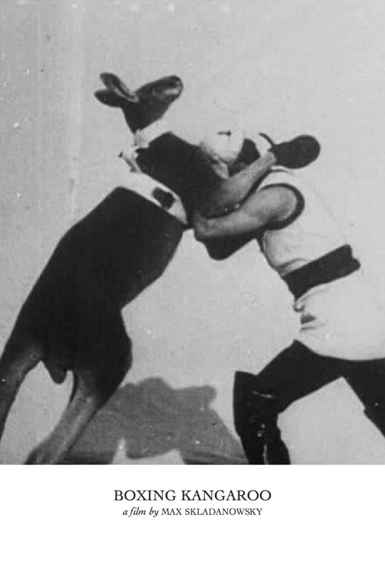 Imatge de Das boxende Känguruh