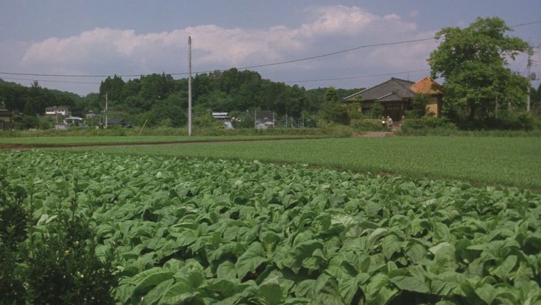 The Taste of Tea (2004)