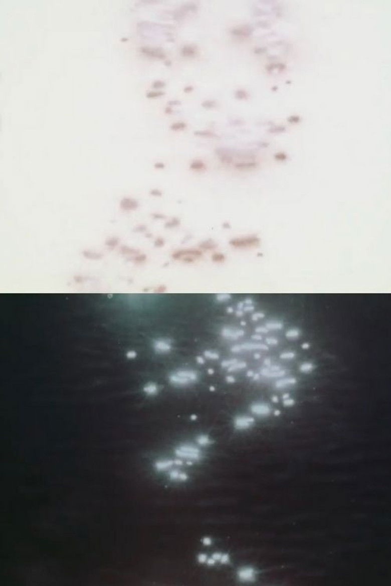 Imatge de 錬金薬液