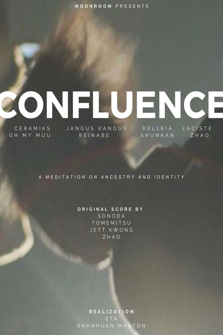 Imatge de Confluence: A Meditation in Documentary Form