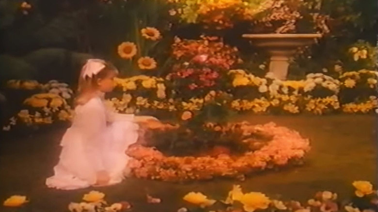 Imatge de Rose Petal Place