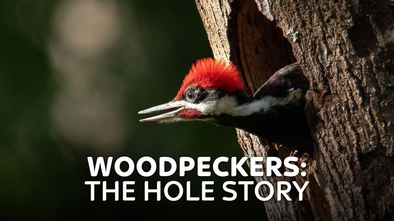 Image d'arrière-plan 1 du film Woodpeckers: The Hole Story