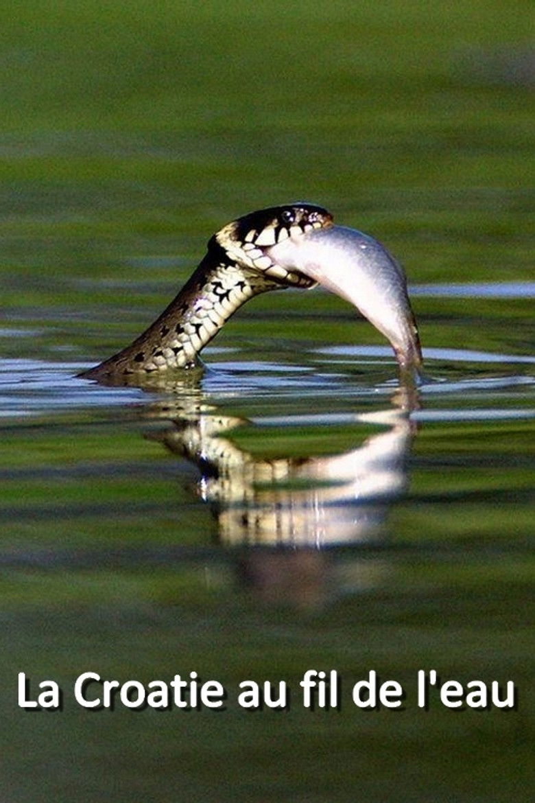 Imatge de Rivers of Croatia