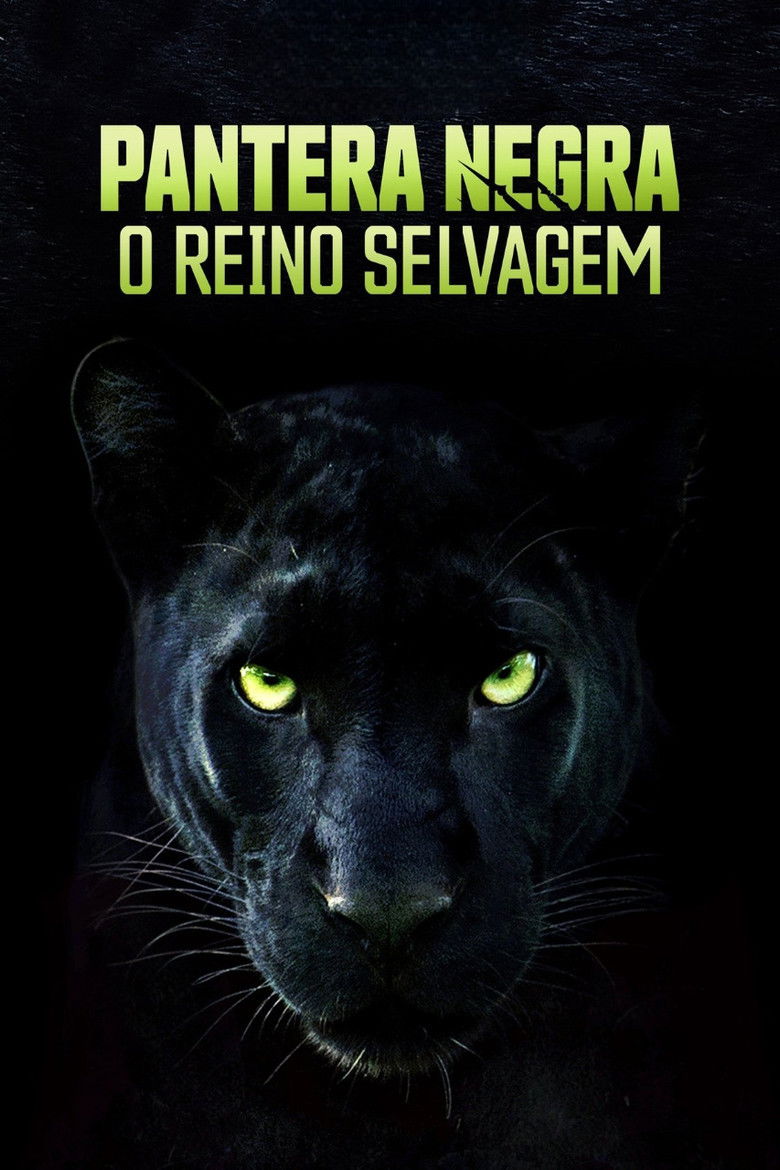 Imatge de The Real Black Panther