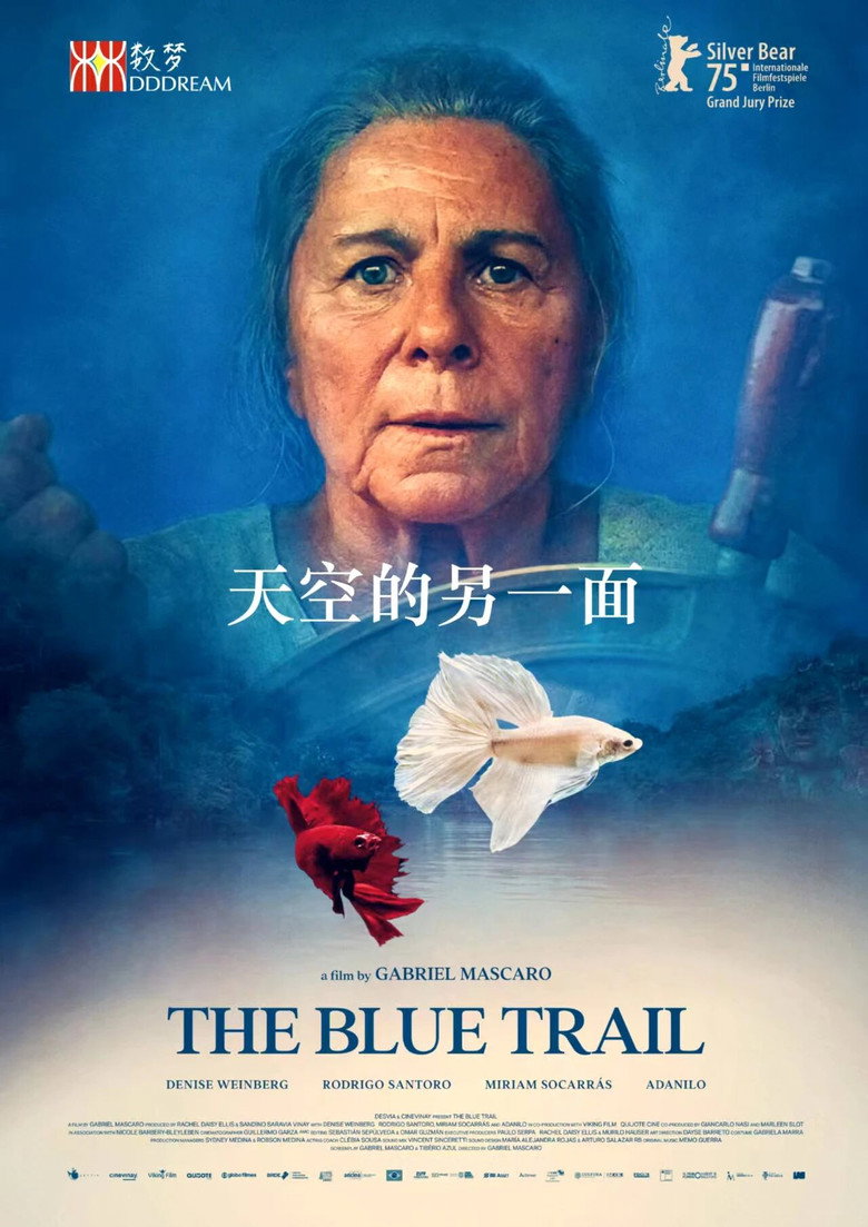 天空的另一面 O Último Azul (2025)-光鸭·臻影社