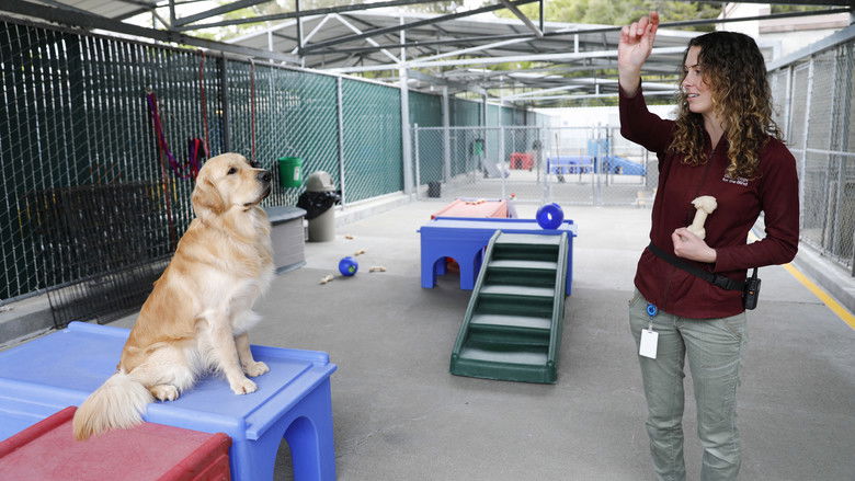 Still image for Pick of the Litter season 1 episode 4: Next Level Training Still image for Pick of the Litter season 1 episode 4: Next Level Training