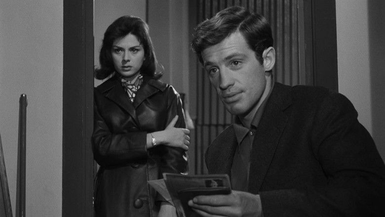 Image d'arrière-plan 10 du film Classe tous risques