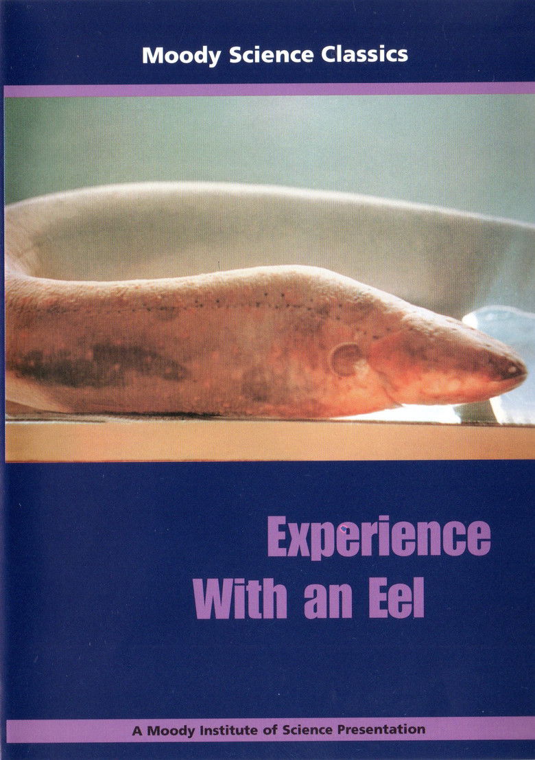 Imatge de Experience With an Eel