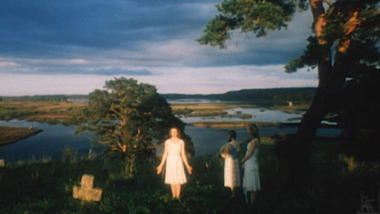 Image d'arrière-plan 11 du film Сад желаний