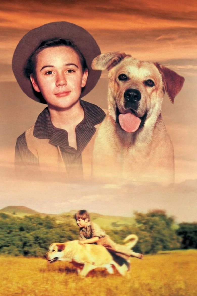 Imatge de Old Yeller