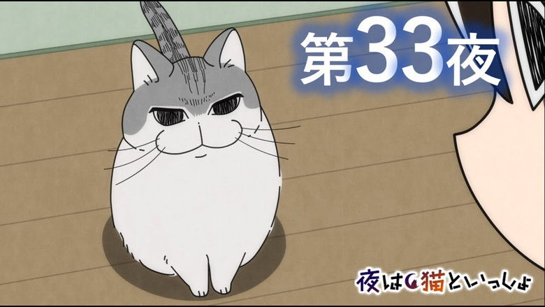 Still image for Nights with a Cat season 1 episode 33: Night 33: The Cat Was Sleeping