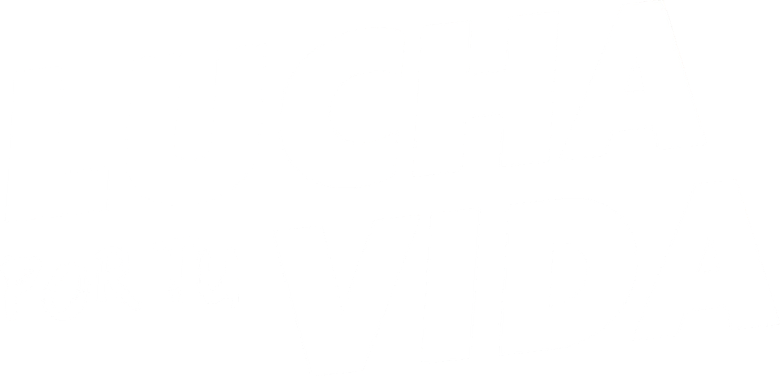 Imagen de Lucha por tu vida