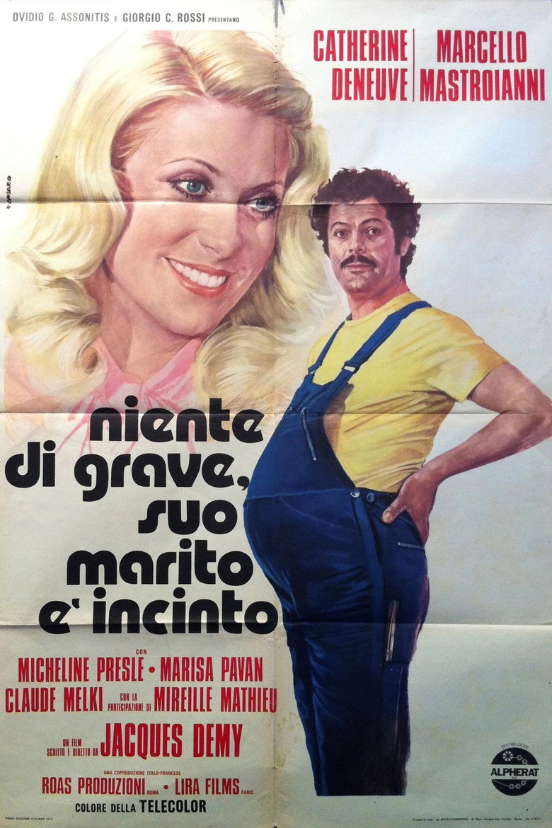 Copertina di Niente di grave, suo marito &egrave; incinto