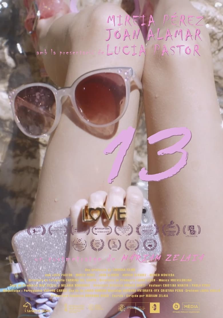 13 main poster
