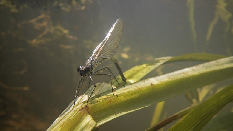 Gallery image from 1tTk4AmsCkMr6xO41Cvzy1qRTUE.jpg