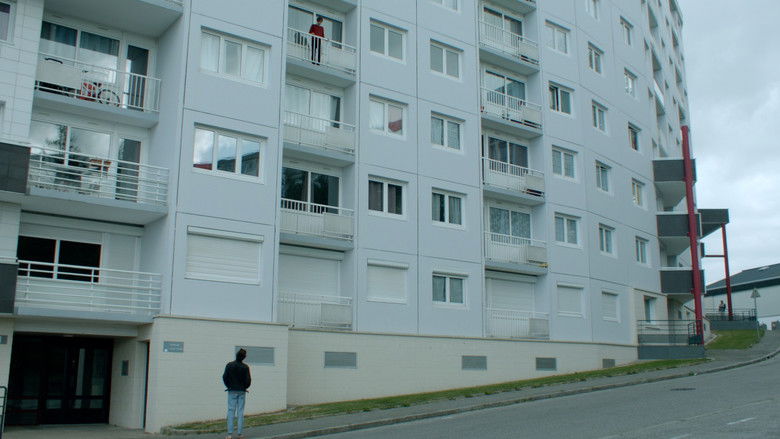 Image d'arrière-plan 12 du film Permanent Green Light