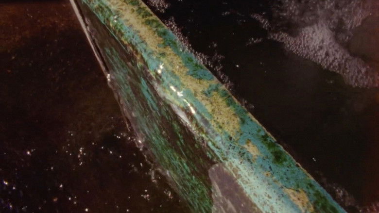 Gallery image from 1uJNlLOaEfyNHejkB0xDCCV1LAk.jpg