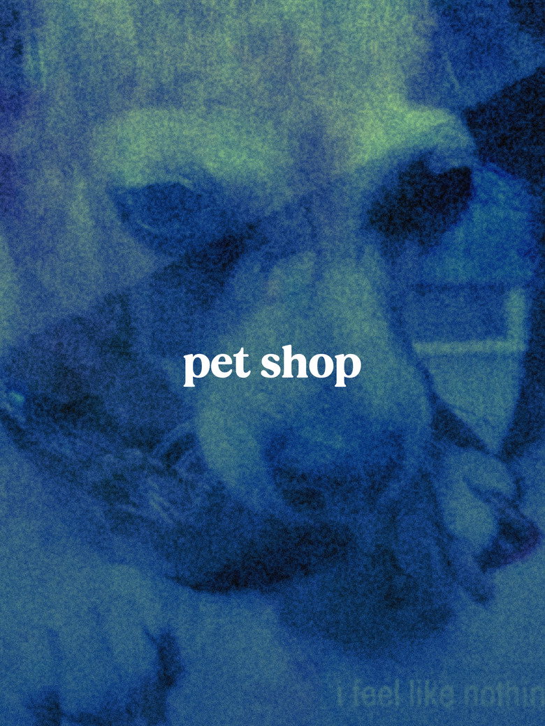 Imatge de Tienda de perros