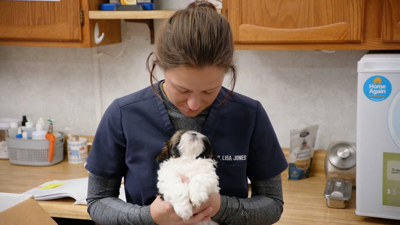 Still from The Incredible Dr. Pol - Season 24 Episode 7