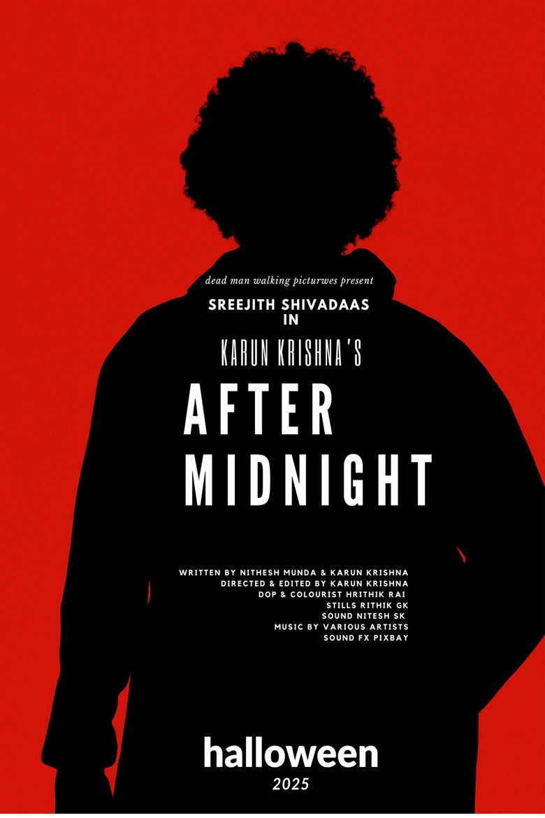 Imatge de After Midnight